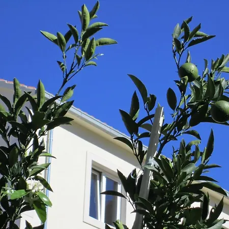 Nives Appartement *